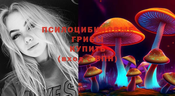 меф Надым
